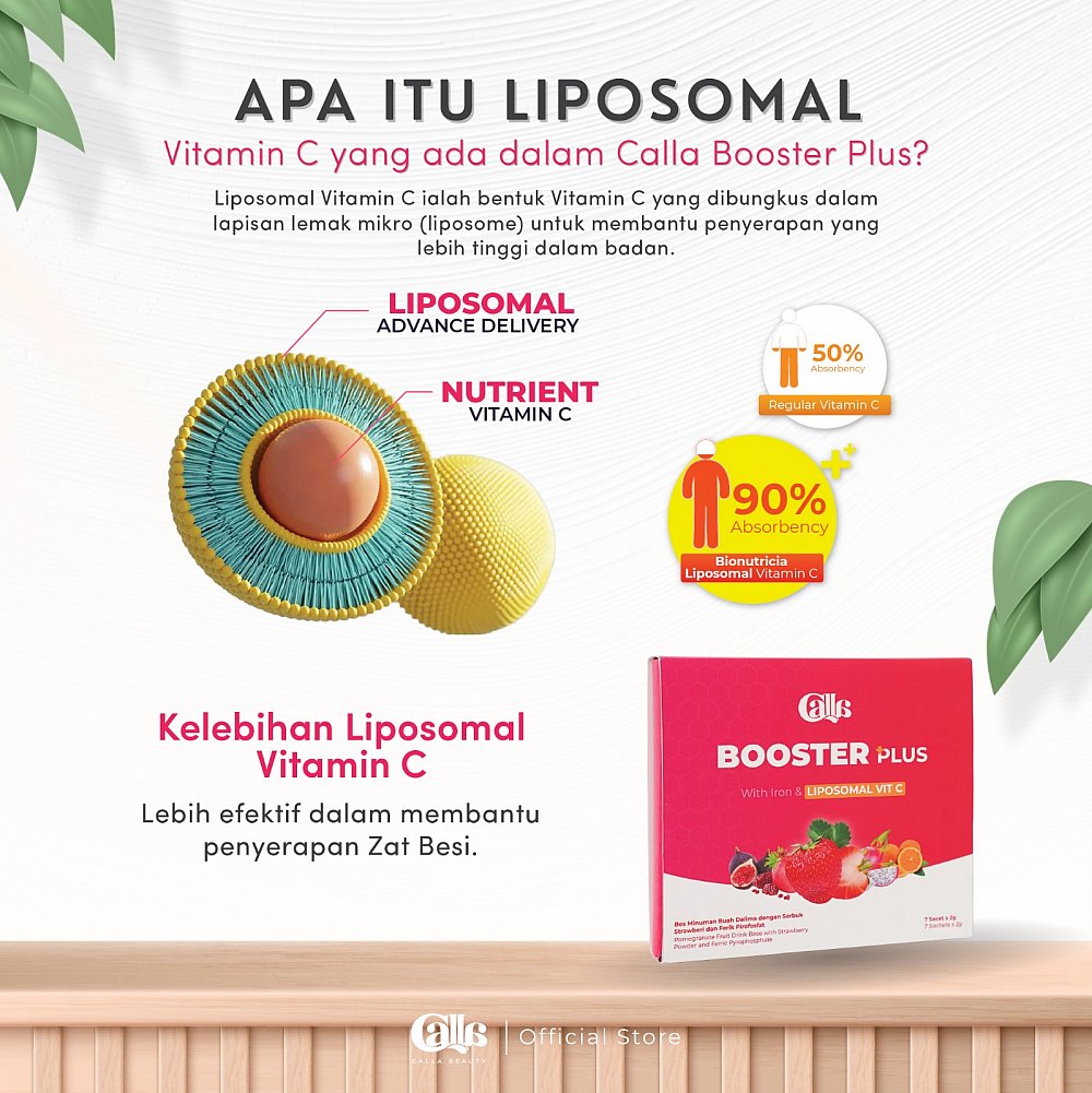 HB Booster Plus (15 sachets)