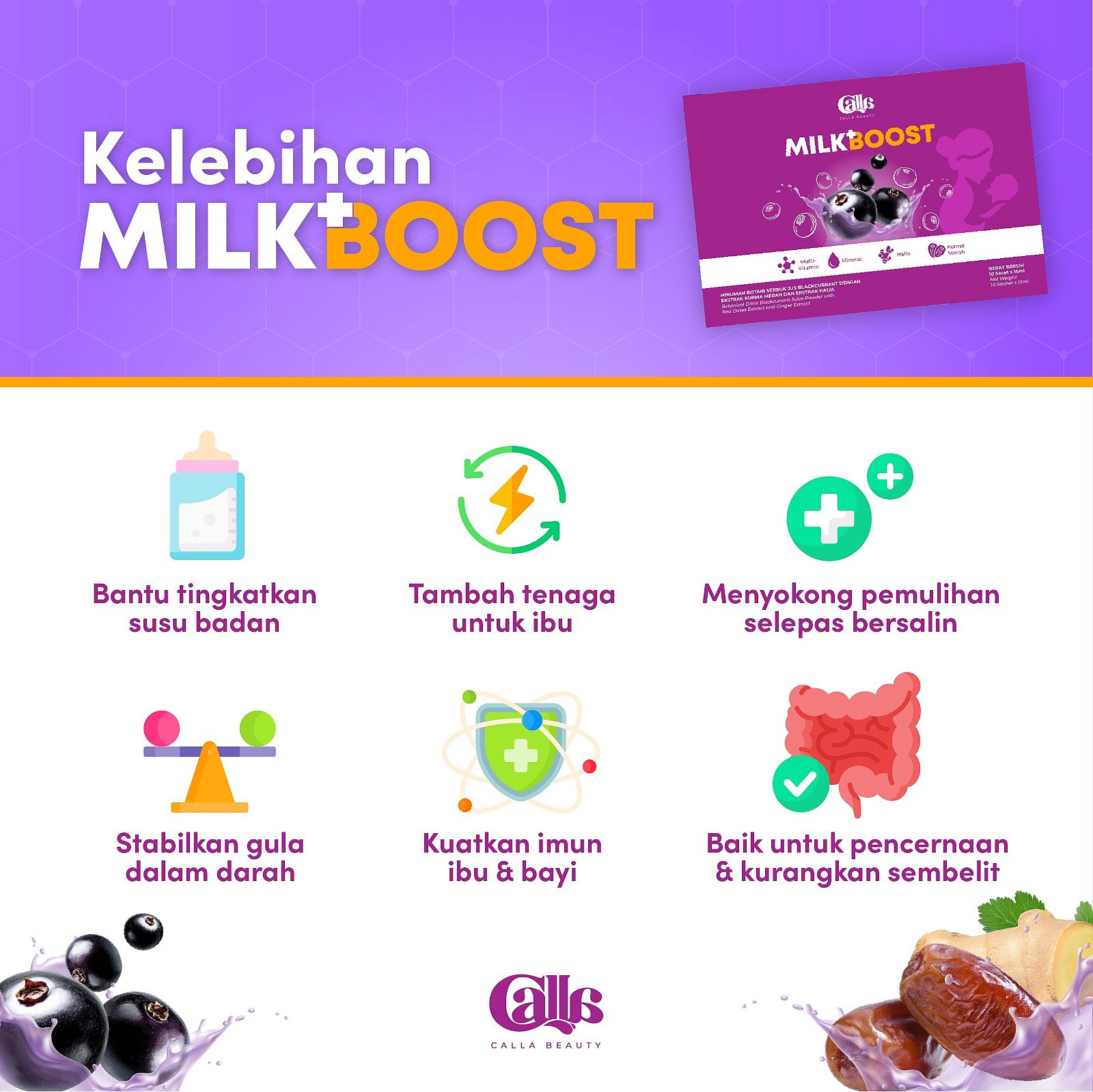 Milk Booster (10 sachets)