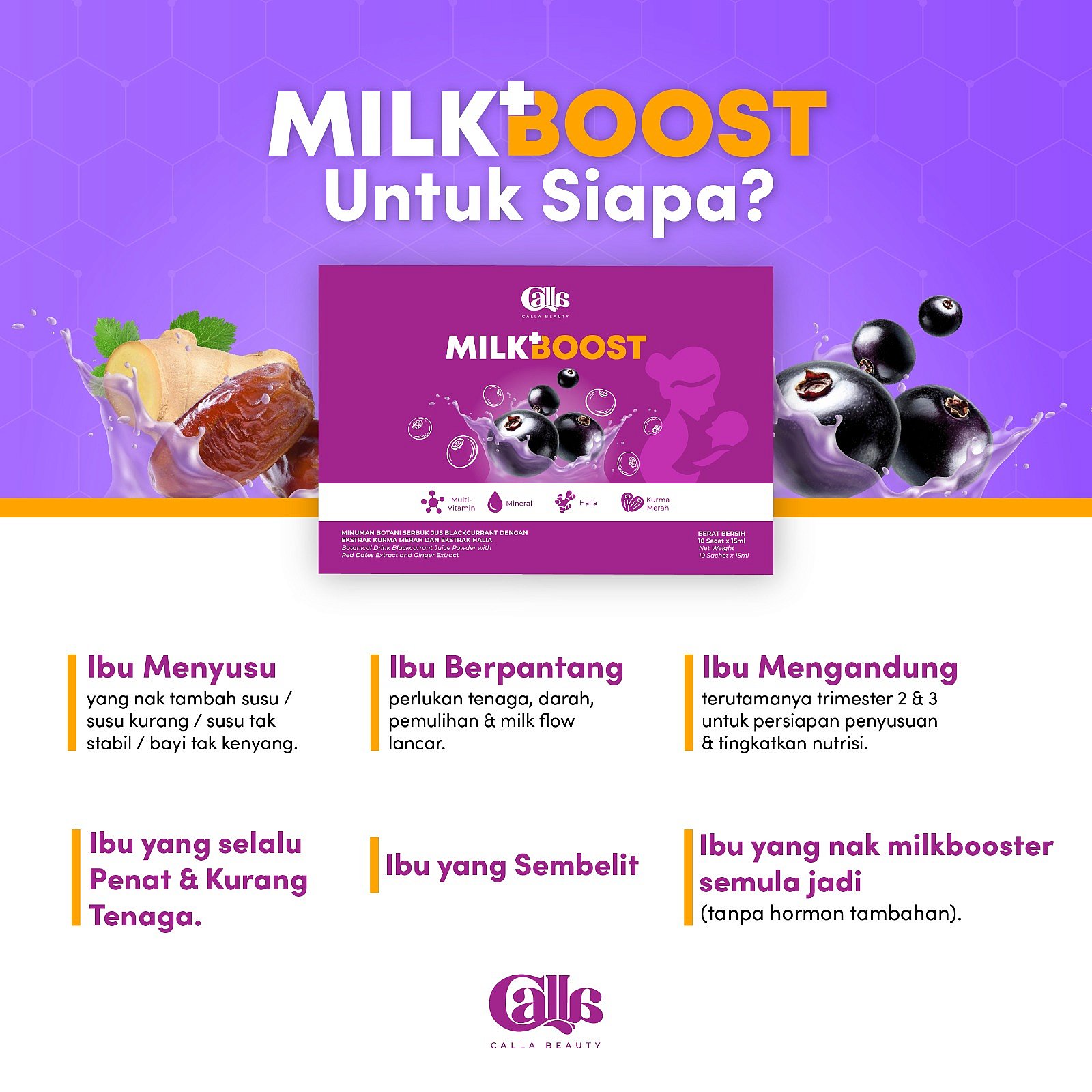 Milk Booster (10 sachets)